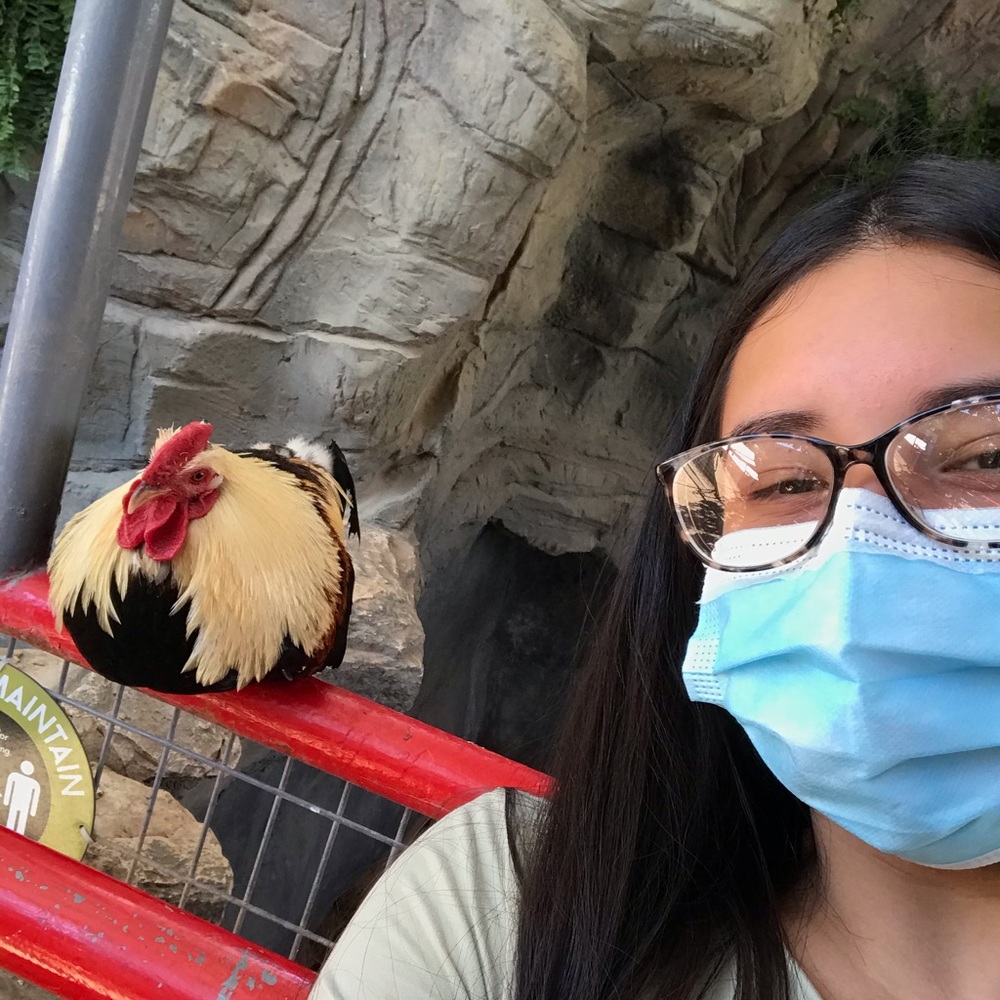 Meet your Posher, Biana